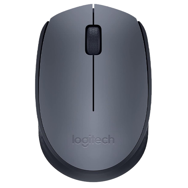 LOGITECH WIRELESS MOUSE M170